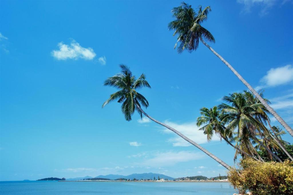 Mm House Koh Samui Exterior foto